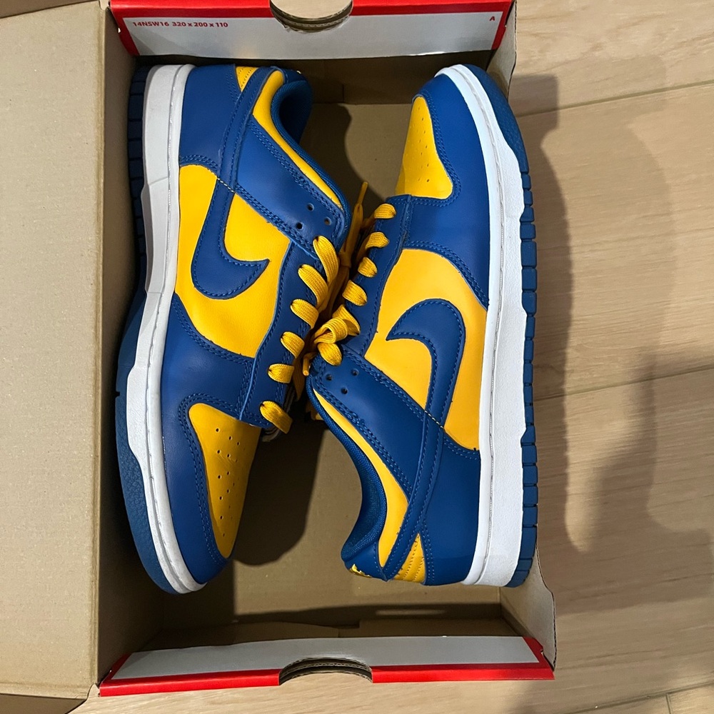 Nike Dunk